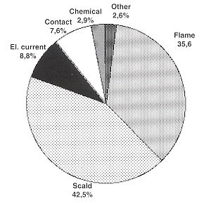 Fig. 1 - Survey of thermic and chemical injuries in 421 patients.
