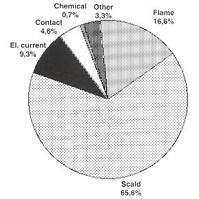 Fig. 2 - Spectrum of thermic injuries - children: 0-15 years.