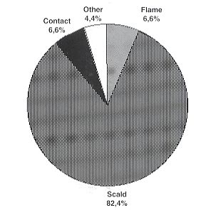 Fig. 3 - Spectrum of thermic injuries - children: 0-3 years.