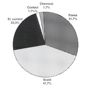 Fig. 5 - Spectrum of thermic and chemical injuries - children: 3-15 years.