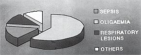 Fig. 11 - Les causes de décès.