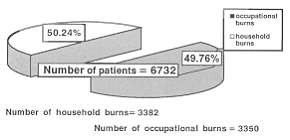 Fig. 1 - Percentage of occupational and household accidents in the patients.