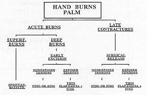 Fig. 1 - Algorithm: palm of the hand bums.
