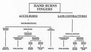 Fig. 2 - Algorithm: finger bums.