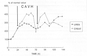 Fig. 8 - Case 2: CAVH stabilized and then decreased urea and creatinine blood levels in the first days post-burn. It was not necessary to use also haemodiafiltration. The increase of urea and creatinine after interruption of CAVH was countered by the polyuric phase of acute renal failure.