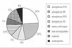 Fig. 1 - Répartition des différents types de Pseudomonas.