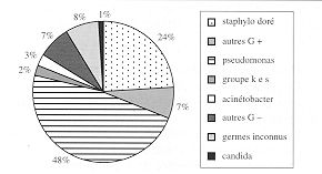 Fig. 4 - Microbiologie des pneumopathies.