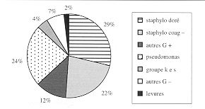 Fig. 6 - Microbiologie des cathters.