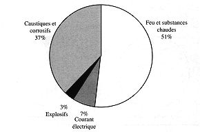 Fig. 4 - Distribution des causes des accidents.