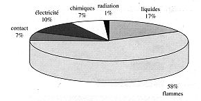 Fig. 8 - Répartition des différents types d'agents vulnérants chez l'adulte entre 16 et 64 ans.