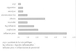 Fig. 13 - Circostances des brulures par flame chez l'adulte  partir de 64 ans.