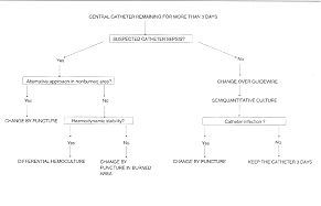 Fig. 2 - Management of central venous catheter in a Burn Unit