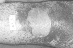 Fig. 8