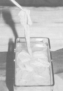 Fig. 2 - Les Xenotrasplant laves a la solution de Streptomycine, Chloraphenicole et Furadantine