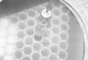 Fig. 4 - Stockage de la conserve speciale contenant des xenotrasplants dans un conteneur avec de l'azote liquide