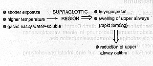 Fig. 1Supraglottic region - pathophysiology; respiratory insuficiency 5th hour - 3rd day.