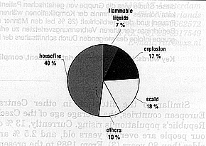 Fig. 3Mortality in the elderly patients, listed according to cause of accident (29 cases).