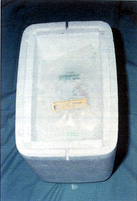 Fig. 2b