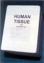 Fig. 3a