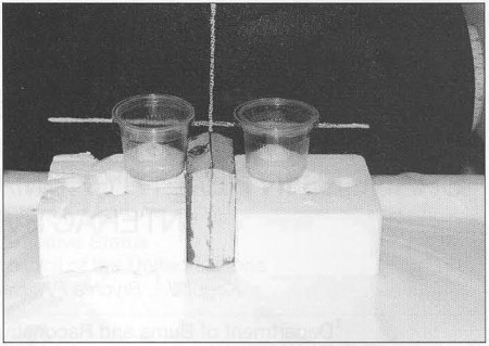 Fig. 2Evaluation of results from Gama camera using computer program.