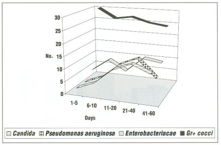 Fig. 4 Time dependence of bacterial colonisation