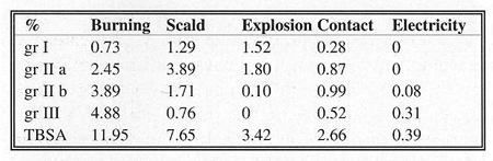Table 3TBSA and depth of burn injury