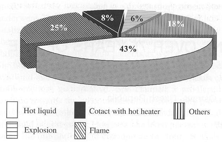 Fig. 2Causes of burn injury
