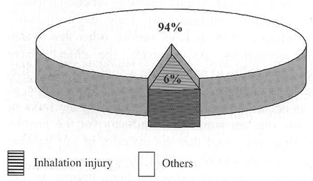 Fig. 3Inhalation injury in percentage proportion to other burns