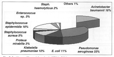 Fig. 2Incidence of bacterial strains in ICU in 2006 