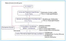 Fig. 3r�seau de soins du br�l� grave