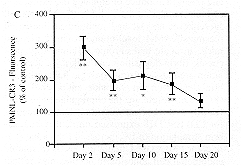 Fig(1): Time course of neutrophil (PML) expression of Fcg RIII (A), CRI (B) and CRIII (C) in burn patients as determined by indirect immunofluorescence and FCM.The results are expressed as the percentage of the fluorescence obtained with PMLs from normal soggets in parallel measurements.The results are given as the mean SEM and the significance of difference between the patients and the controls is indicated as *p<0.05, **p<0.01.