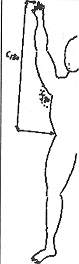 Distance C 180 = A + B Normal full abduction