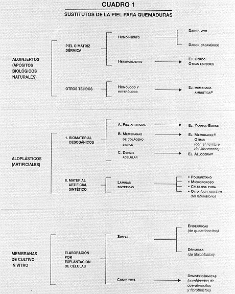 CUADRO 1 - sostitutos de la piel para quemaduras