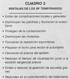 CUADRO 2 - ventajas de los sp temporarios