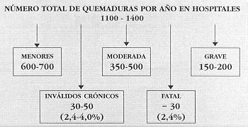 Figura 1. Número total de quemados hospitalizados por año en Suecia dividido según la gravedad del trauma.