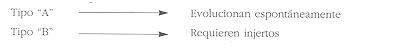 gr00000004.gif (3432 byte)